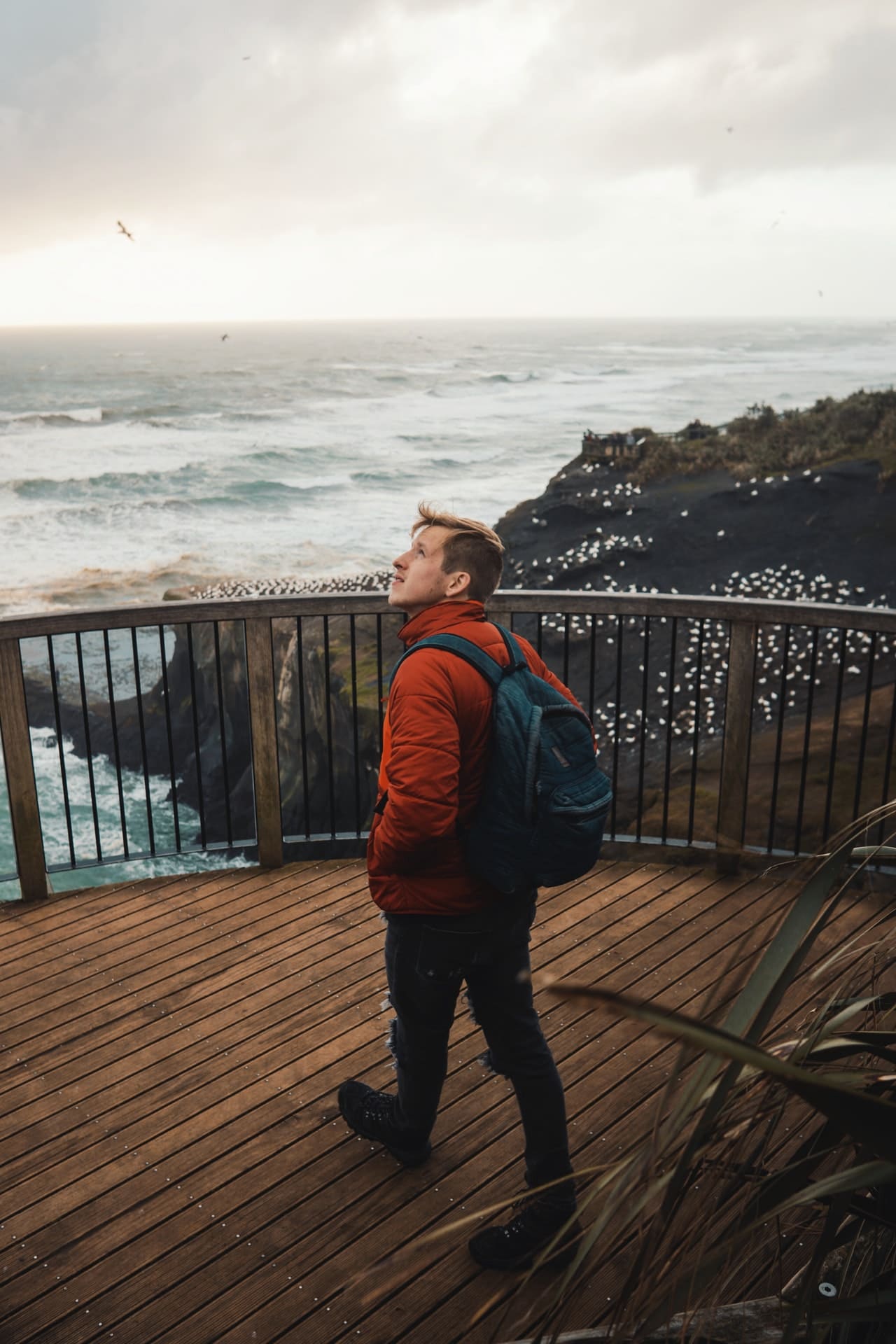 Travelling Guy